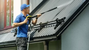 roof Cleaning